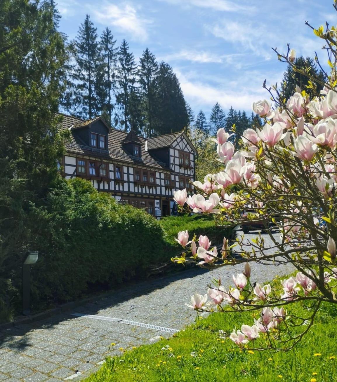Pension Landhaus Machold ฟรีดริชโรดา ภายนอก รูปภาพ